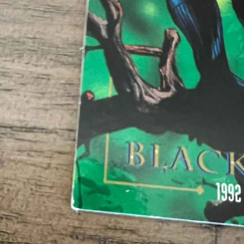 1992 Skybox Marvel Masterpieces Black Panther #4 Trading Card